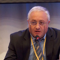 Roin Kavrelishvili